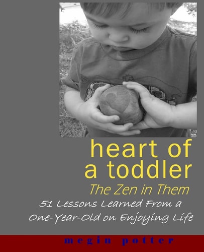 Heart of a Toddler The Zen in Them: 51 Lessons Learned from a One-Year-Old on Enjoying Life