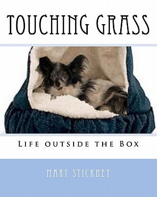 Touching Grass Life Outside the Box