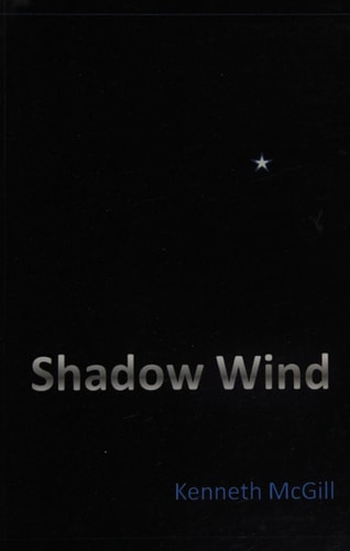 Shadow Wind