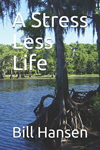 A Stress Less Life