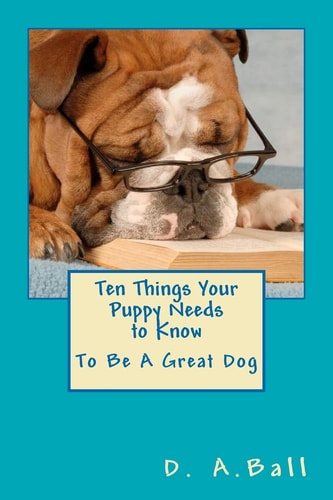 Ten Things Your Puppy Needs to Know To Be a Great Dog