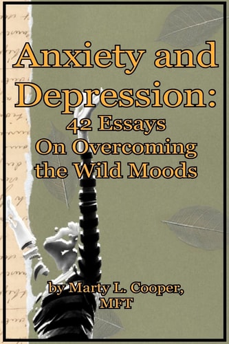 Anxiety and Depression 42 Essays on Overcoming the Wild Moods