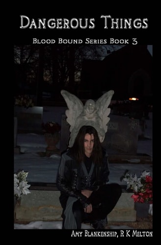 Dangerous Things Blood Bound Series