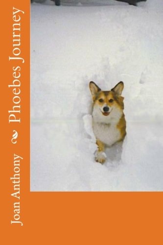 Phoebes Journey
