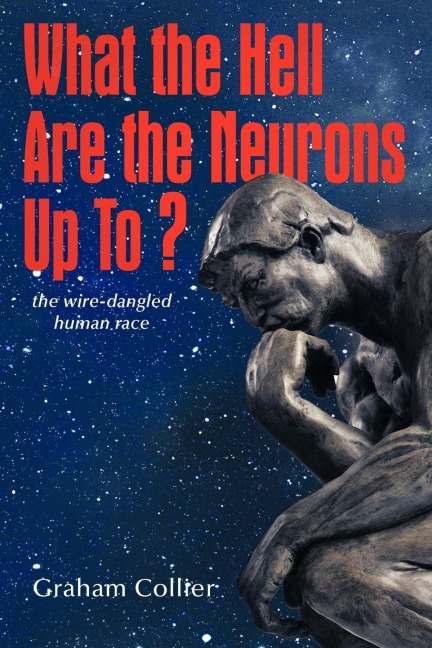 What the Hell are the Neurons Up To?: The Wire-Dangled Human Race