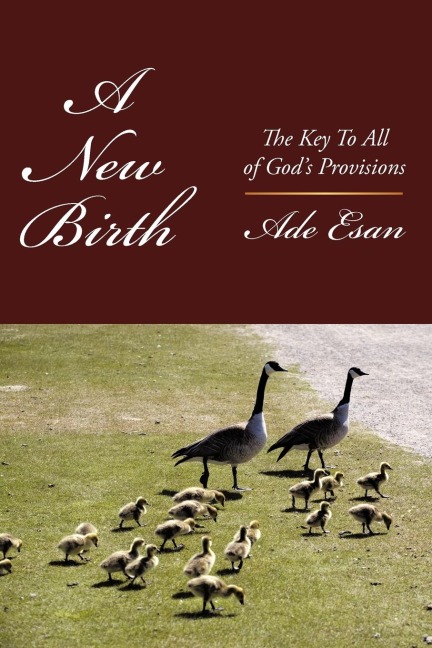 A New Birth: The Key To All of Gods Provisions