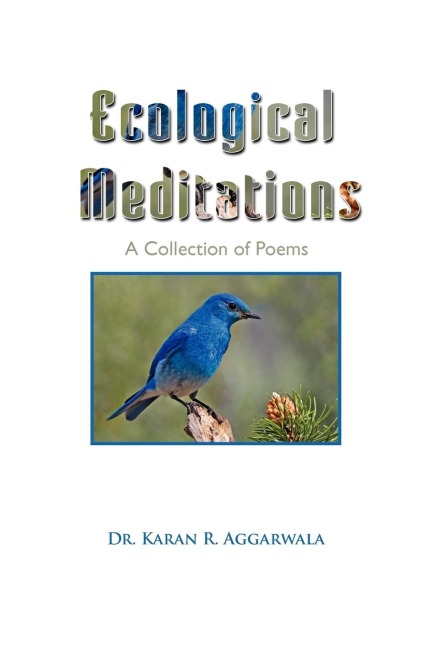 Ecological Meditations