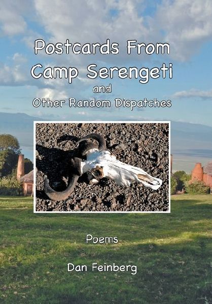 Postcards From Camp Serengeti: and Other Random Dispatches