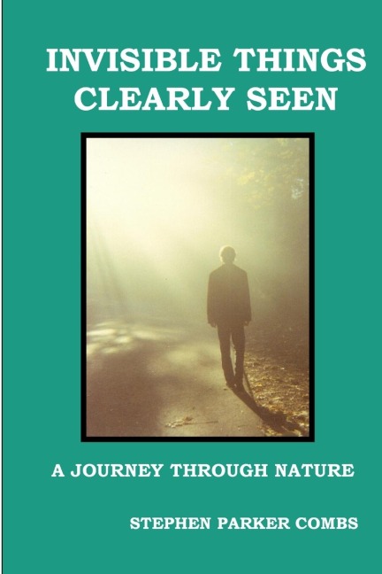 Invisible Things Clearly Seen