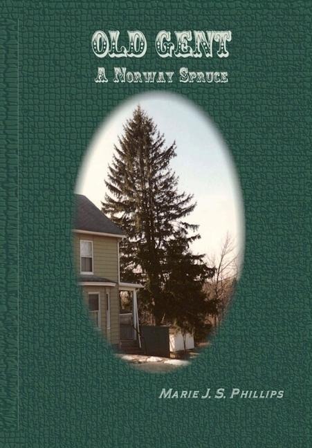 Old Gent: A Norway Spruce