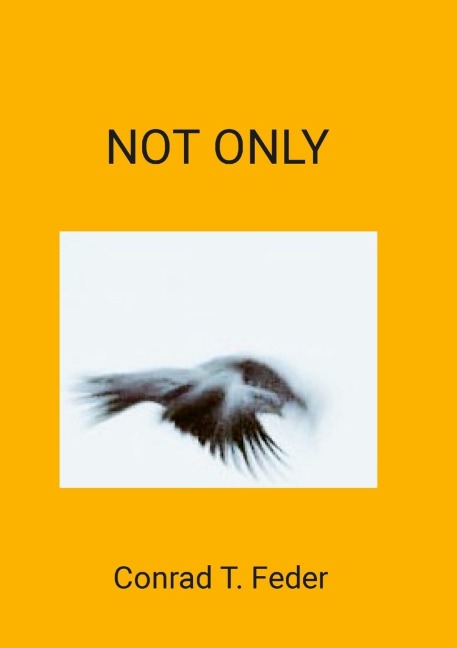 NOT ONLY