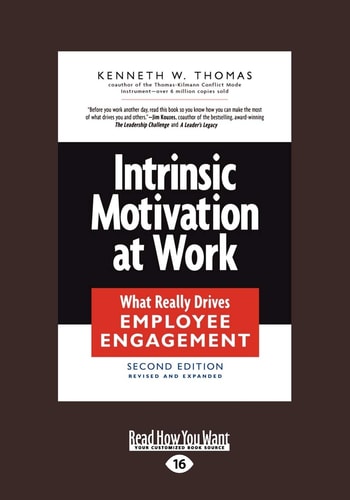 Intrinsic Motivation at Work What Really Drives Employee Engagement
