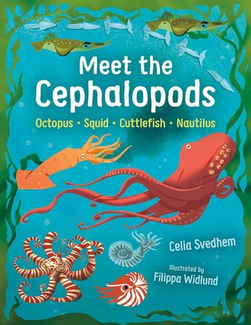 Meet the Cephalopods: Octopus, Squid, Cuttlefish, Nautilus