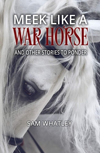 Meek Like a War Horse And Other Stories to Ponder