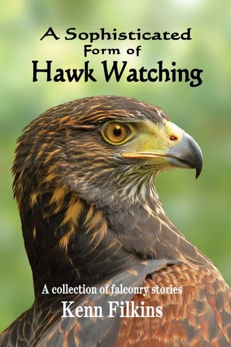 A Sophisticated Form of Hawk Watching