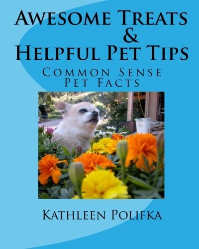 Awesome Treats and Helpful Pet Tips