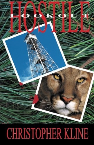 Hostile Lookout