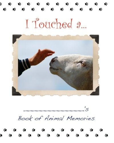 I Touched A. . .