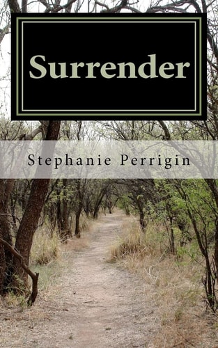 Surrender The Witches Protection Program Book 1