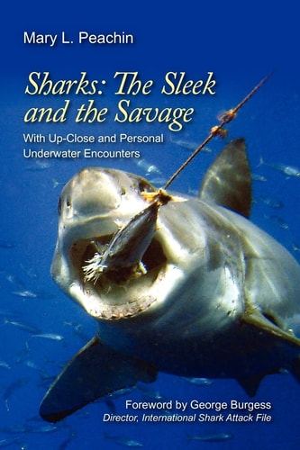 Sharks The Sleek and The Savage With Up Close and Underwater Personal Encounters
