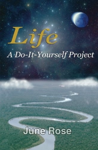 Life A Do-It-Yourself Project