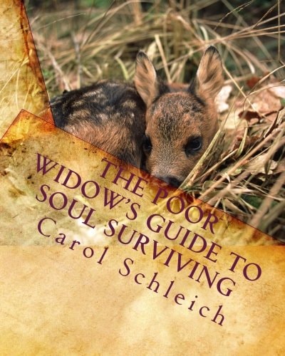 The Poor Widow's Guide to Soul Surviving Your Best Life Ever