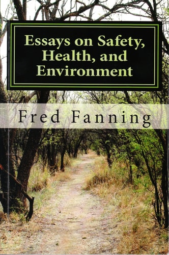 Essays on Safety, Health, and Environment