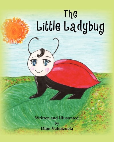 The Little Lady Bug