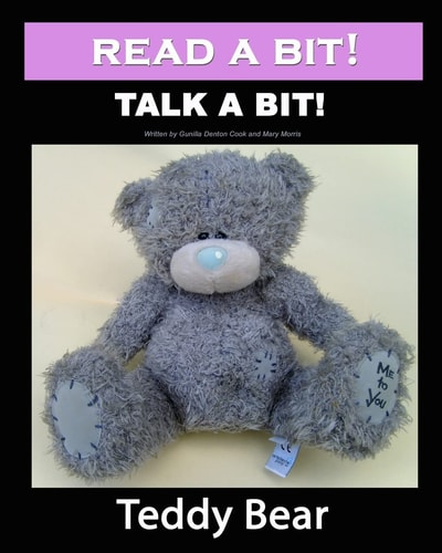 Read a Bit! Talk a Bit! Teddy Bear