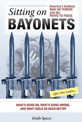 Sitting on Bayonets America's Endless War on Terror and the Paths to Peace