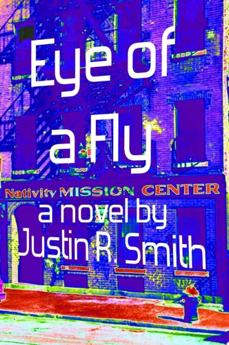 Eye of a Fly