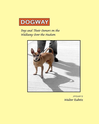 Dogway Dogs and Their Owners on the Walkway Over the Hudson