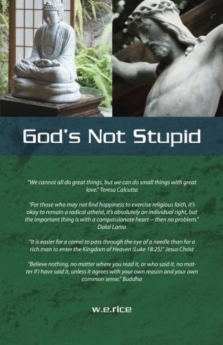 God's Not Stupid