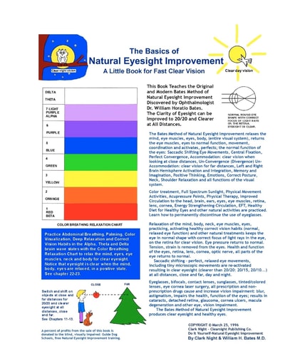 The Basics of Natural Eyesight Improvement - A Little Book for Fast, Clear Vision With Better Eyesight Magazine E-Book