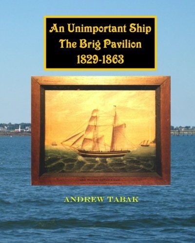 An Unimportant Ship, The Brig Pavilion, 1829-1863