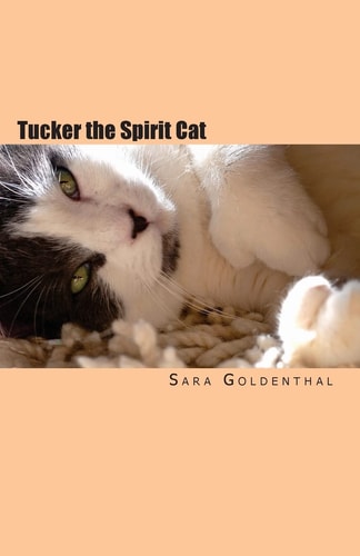 Tucker the Spirit Cat A Meditation on Love and Hope for Anyone Grieving the Loss of an Animal Friend
