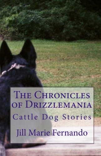 The Chronicles of Drizzlemania