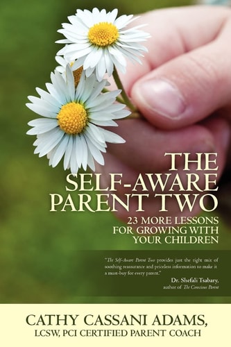 The Self-Aware Parent Two 23 More Lessons for Growing with Your Children