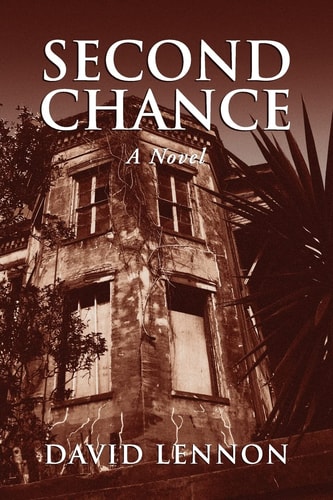 Second Chance A Novel