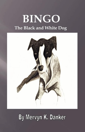 Bingo The Black and White Dog