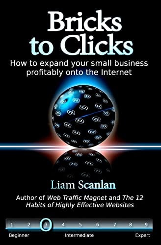 Bricks to Clicks How to Expand Your Small Business Profitably Onto the Internet