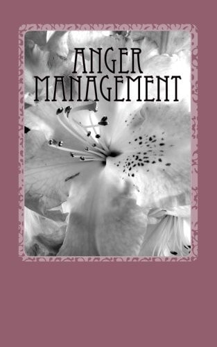 Anger Management Anger, Risk and Stress Management