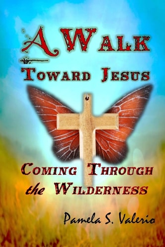 A Walk Toward Jesus Coming Through the Wilderness
