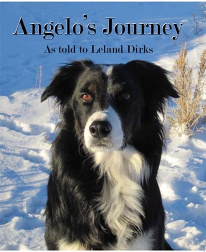 Angelo's Journey A Border Collie's Quest for Home