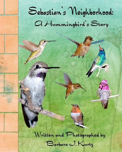 Sebastian's Neighborhood A Hummingbird's Story