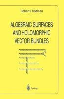 Algebraic Surfaces and Holomorphic Vector Bundles