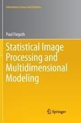 Statistical Image Processing and Multidimensional Modeling