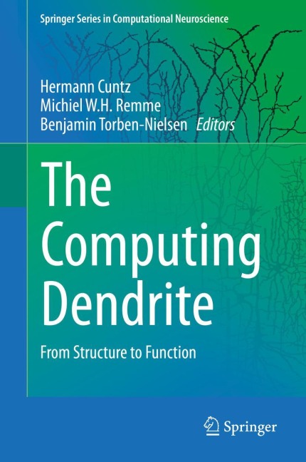 The Computing Dendrite: From Structure to Function