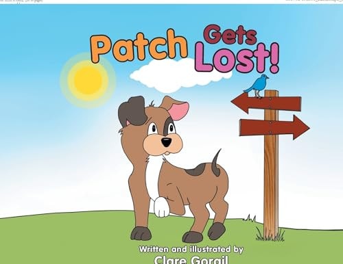 Patch Gets Lost