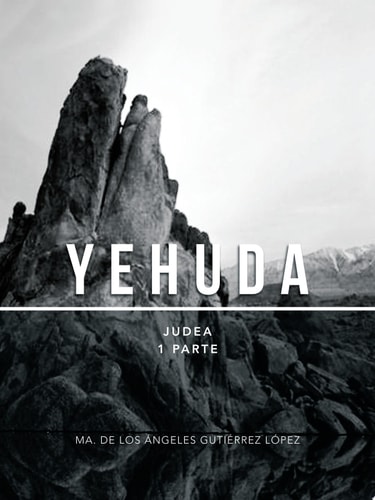 Yehuda Judea